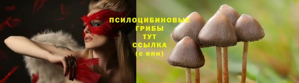 MDMA Premium VHQ Арсеньев